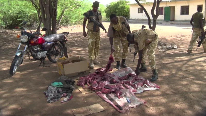 KWS warns poachers as 16 more carcasses seized in Tana River