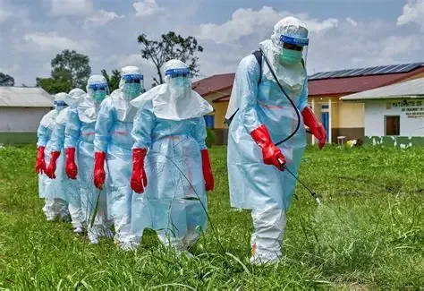 Malaria or Ebola? When a fever should worry you