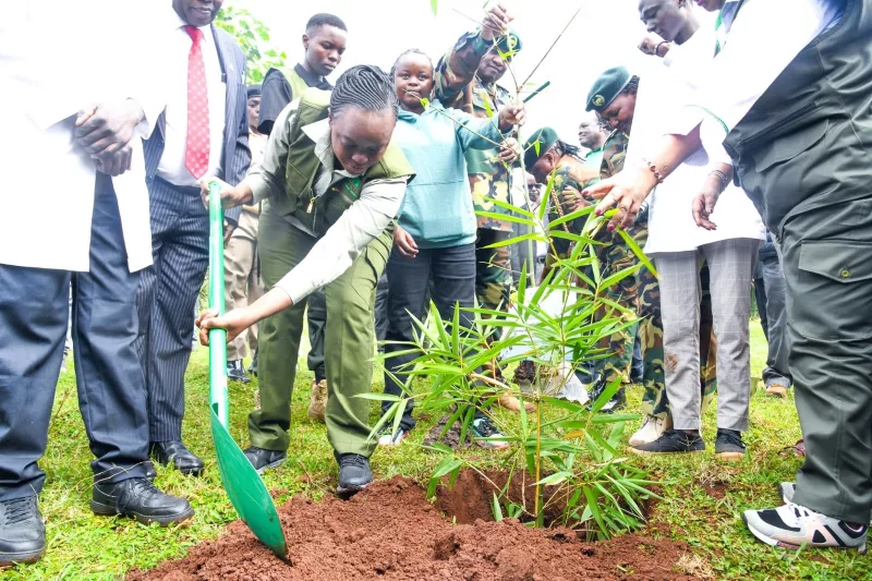 State targets 17.2m trees to mark Mazingira Day