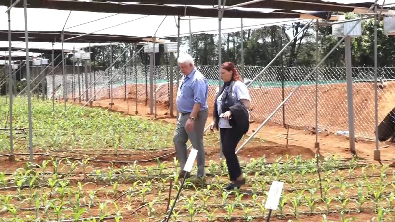 JOOUST, German universities join forces to tackle declining maize yields