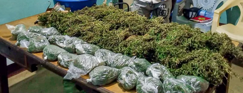 Bhang/HANDOUT