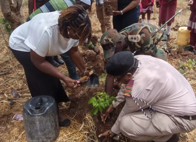 IlBisil Girls plants 400 trees to mark Mazingira Day