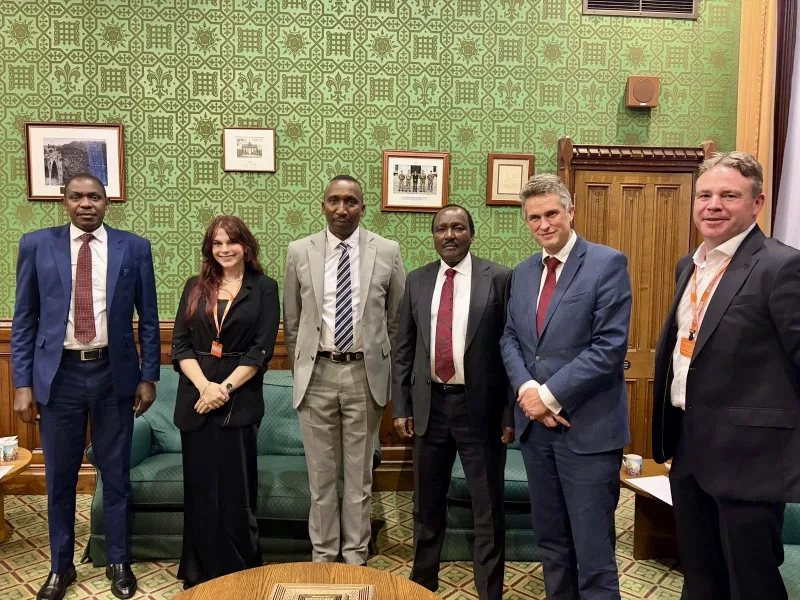 Kalonzo in London for Chatham House talk