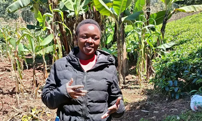 The women rewriting the rules of livestock farming in Kenya
