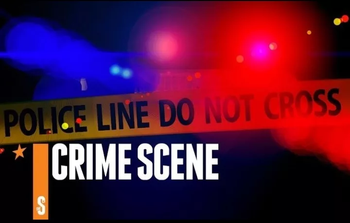 Teen arrested for stabbing woman, 56, to death