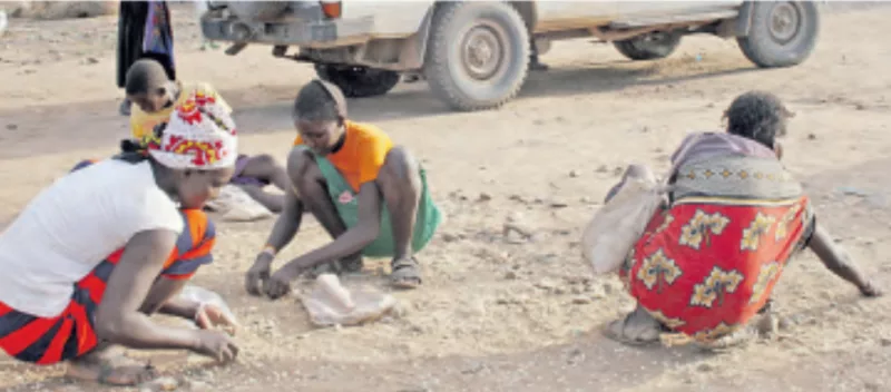 Pokot residents collect spilled relief maize donated by Kenya Red-Cross at Lodengo in Tiaty Sub-county, Baringo County /FILE