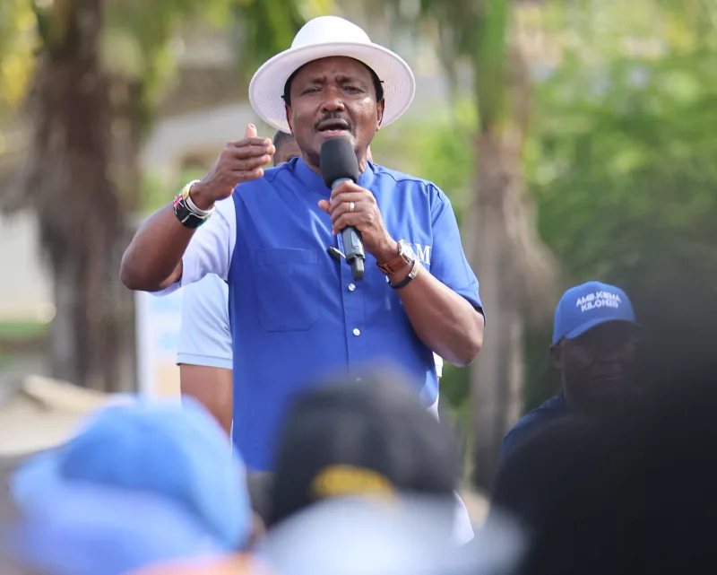 Wiper Patriotic Front (WPF) leader Kalonzo Musyoka /HANDOUT