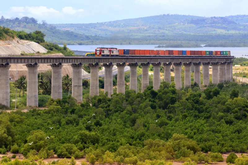 How SGR balances economic growth, wildlife conservation