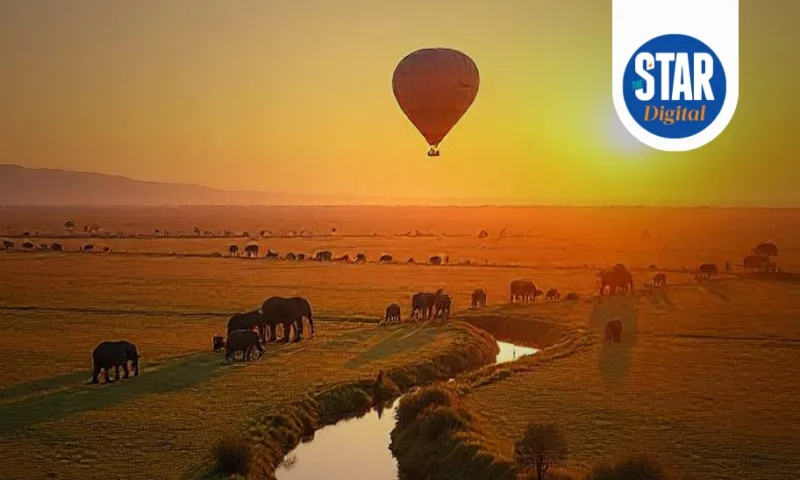 Kenya's tourism growth over four years