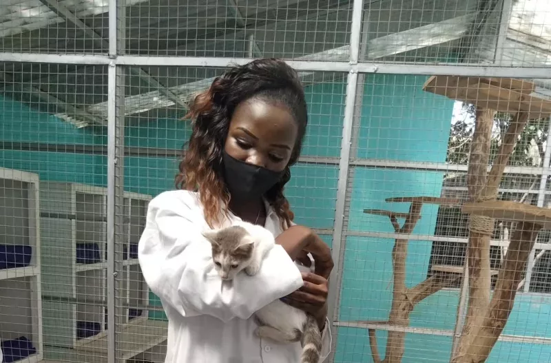 Pet owners urged to prioritise vaccination as Kenya targets rabies elimination