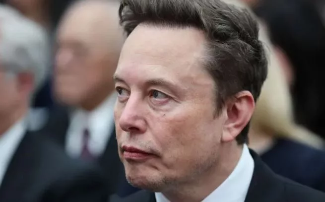 Tech billionaire Elon Musk./SCREENGRAB