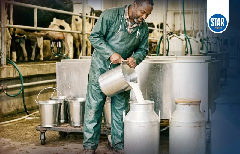 MILK PRODUCTION