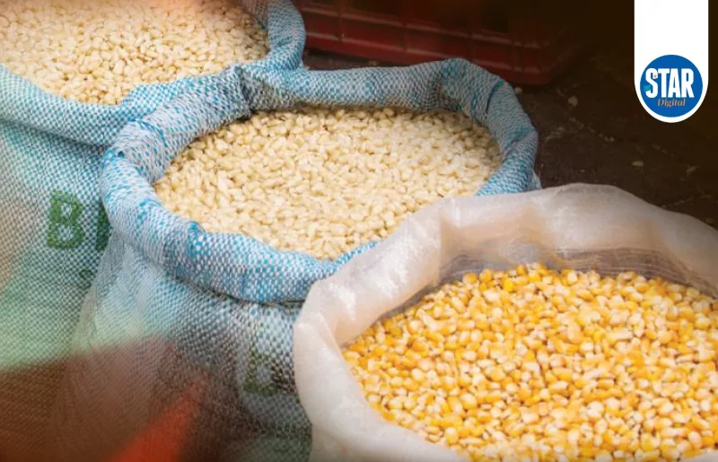 National average price spreads for maize