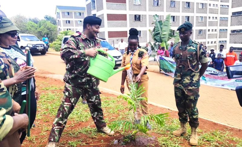 Murang’a targets 200K trees in 1 hour