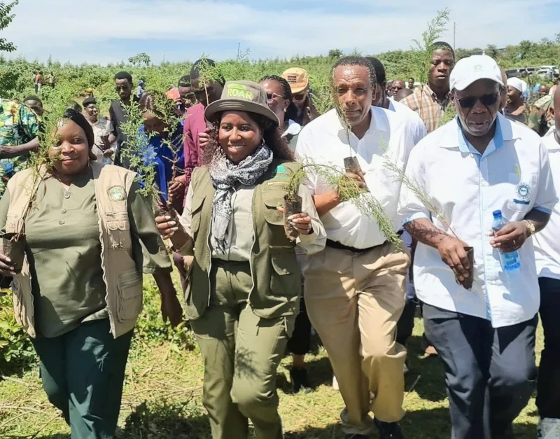 Kakamega county environment executive Peninah Mukabane with Higher education PS Beatrice Inyangala and Masinde Muliro VC Prof Solomon Shibairo during a tree-planting exercise at Kakamega Forest in Senyende, Shinyalu Constituency/IMAGE/HILTON OTENYO