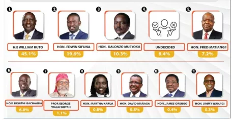 Ruto tops presidential race poll with 45.1%