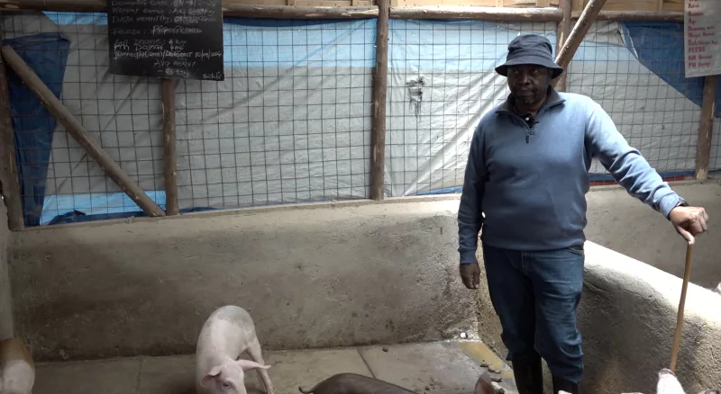 Farmer Mwanya Migadde in Kinamba, Naivasha, in his pigsty / WILLIAM INGANGA