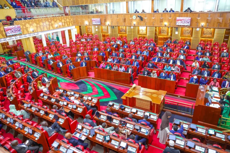 Parliament in session /HANDOUT