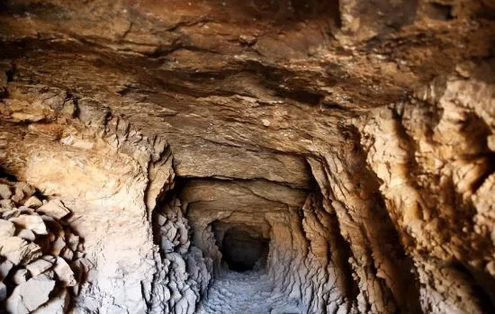 A gold mine./SCREENGRAB