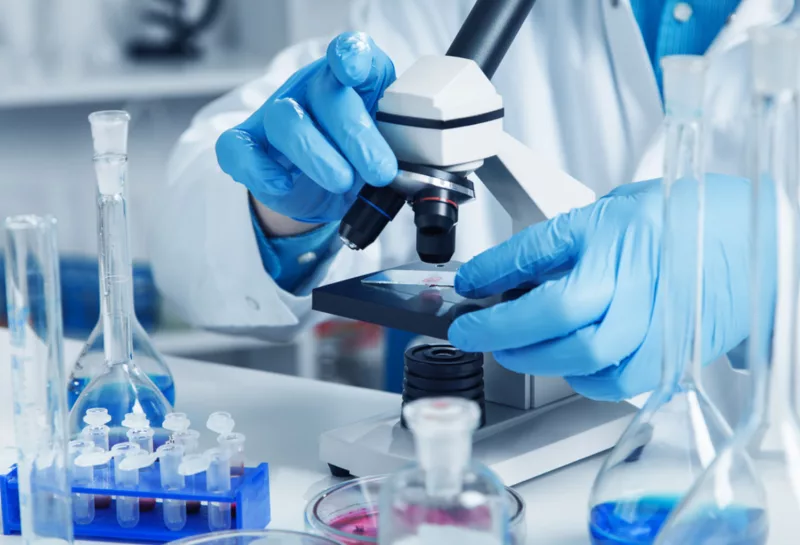 Kemri finds Africa's first fungus resistant to major drugs in Nairobi patient