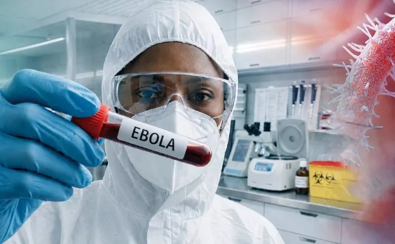 The hunt for a new Ebola vaccine: two scientists explain the challenges