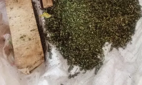 Police seize 927 bhang rolls in Kiambu, Kirinyaga crackdown