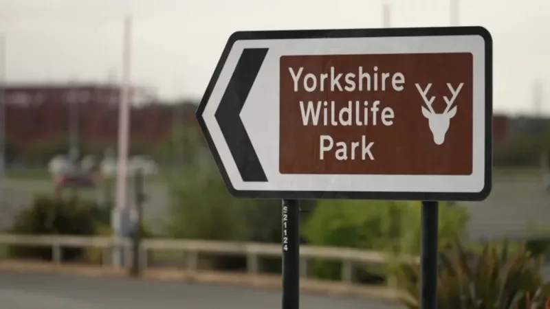 Man dies after tiger attack at wildlife park