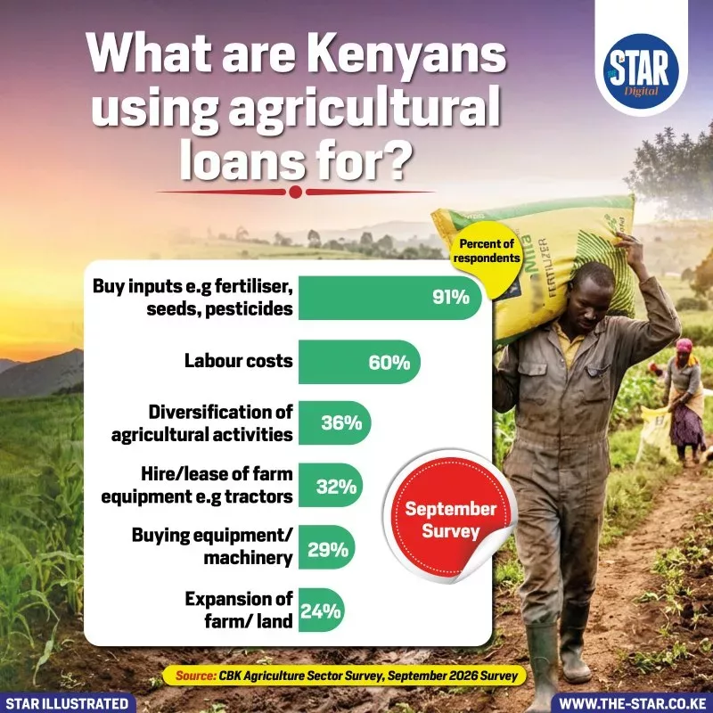 How Kenyans spend on agricultural loans