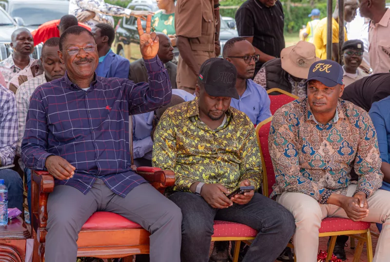 Weta 'tosha' after Ruto in 2032, say Western bigwigs