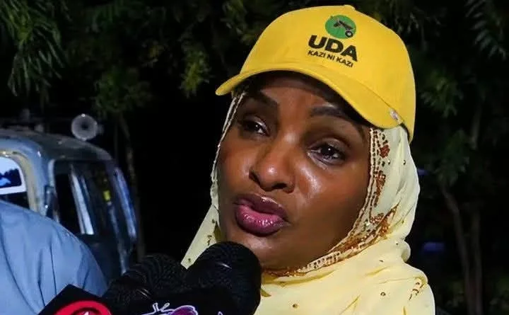 Lulu Hassan Addresses Fan Who Warned Her About Joining Politics