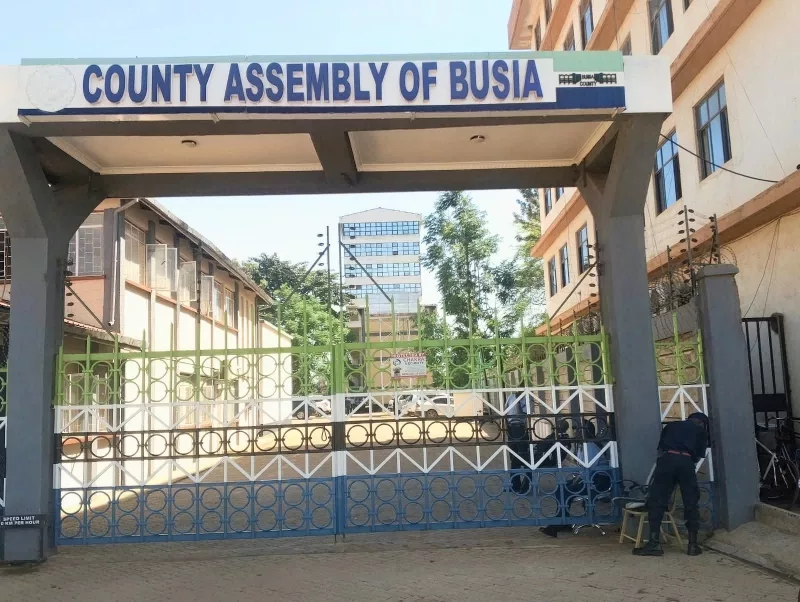 Busia ward reps back petition to legalise and regulate busaa brewing