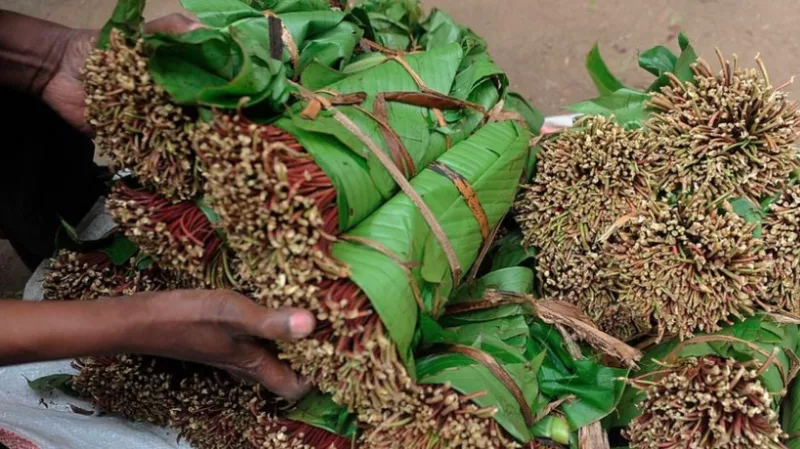 Kenya's Standards Bureau Says Khat Drinks Are Not Covered by Its Quality Mark