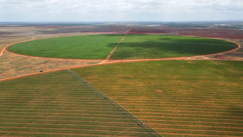 An aerial shot captures the vast expanse of Selu Limited’s land at Galana-Kulalu, with 2,000 acres currently under cultivation out of the 20,000 acres earmarked for large-scale commercial farming./HANDOUT