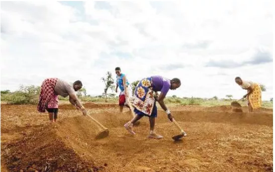 Women from Nailepo Conservancy prepare half moon bunds /HANDOUT
