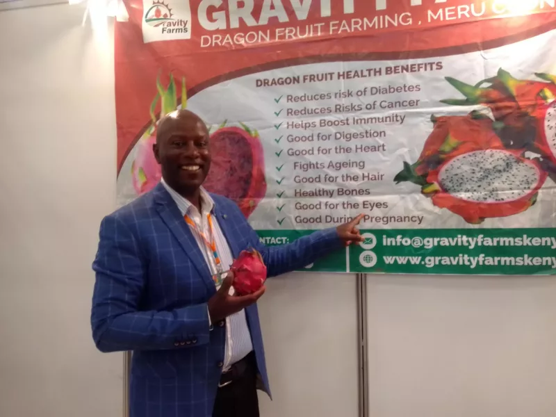 Farmer’s seven-year quest yields dragon fruit variety