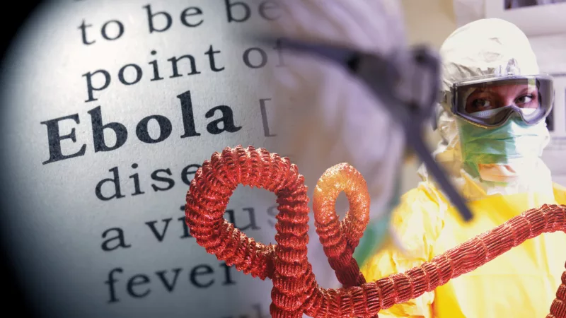 ebola virus \\ mpasho