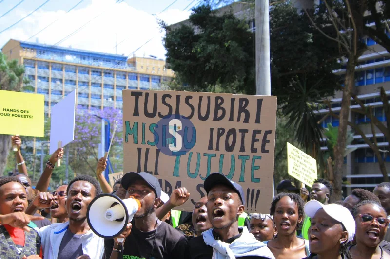 Civil society groups stage protest over deforestation