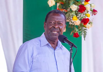 Mudavadi: New parties can't offer alternative to Ruto