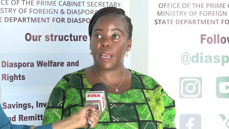 Anna Muruche – Deputy Director, State Department for Diaspora Affairs speaking.