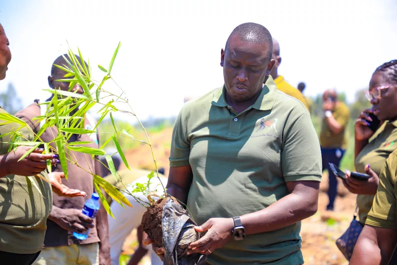 NG-CDF Board chief executive Benjamin Magut during a tree planting initiative in Kisumu Central constituency,  Kisumu County.