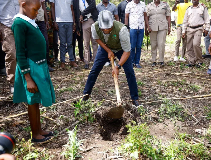 Omollo: Homa Bay must do more to grow its forest cover